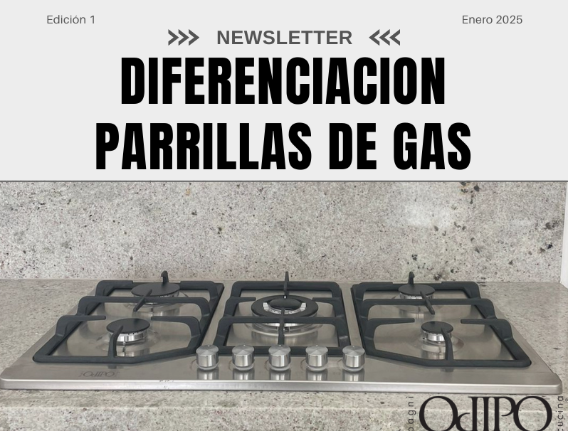 Diferenciación de nuestras parrillas de gas.
